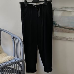 EUC Aritzia Babaton Allant pants